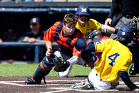 2017 Illinois Fighting Illini
